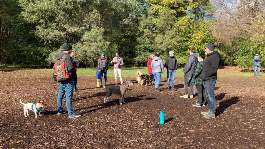 TCNLab Social:  Doggie Play Date