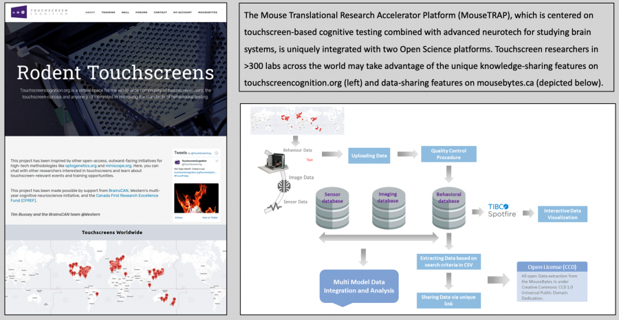 New Frontiers in Translational Research: Touchscreens, Open Science, and the Mouse Translational Research Accelerator Platform (MouseTRAP)