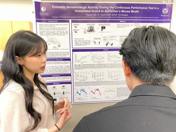 TCNLab Undergraduates Present Their Research Projects